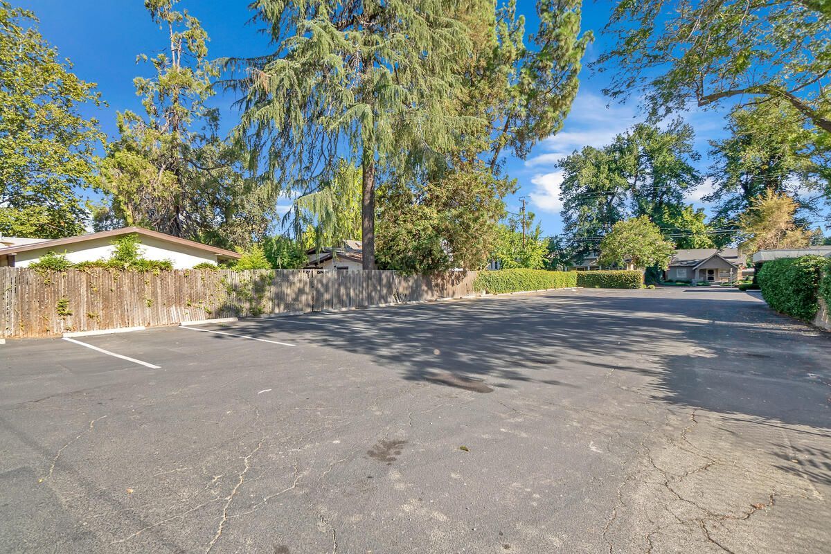 Empty asphalt parking lot with a wooden fence and trees on a sunny day.