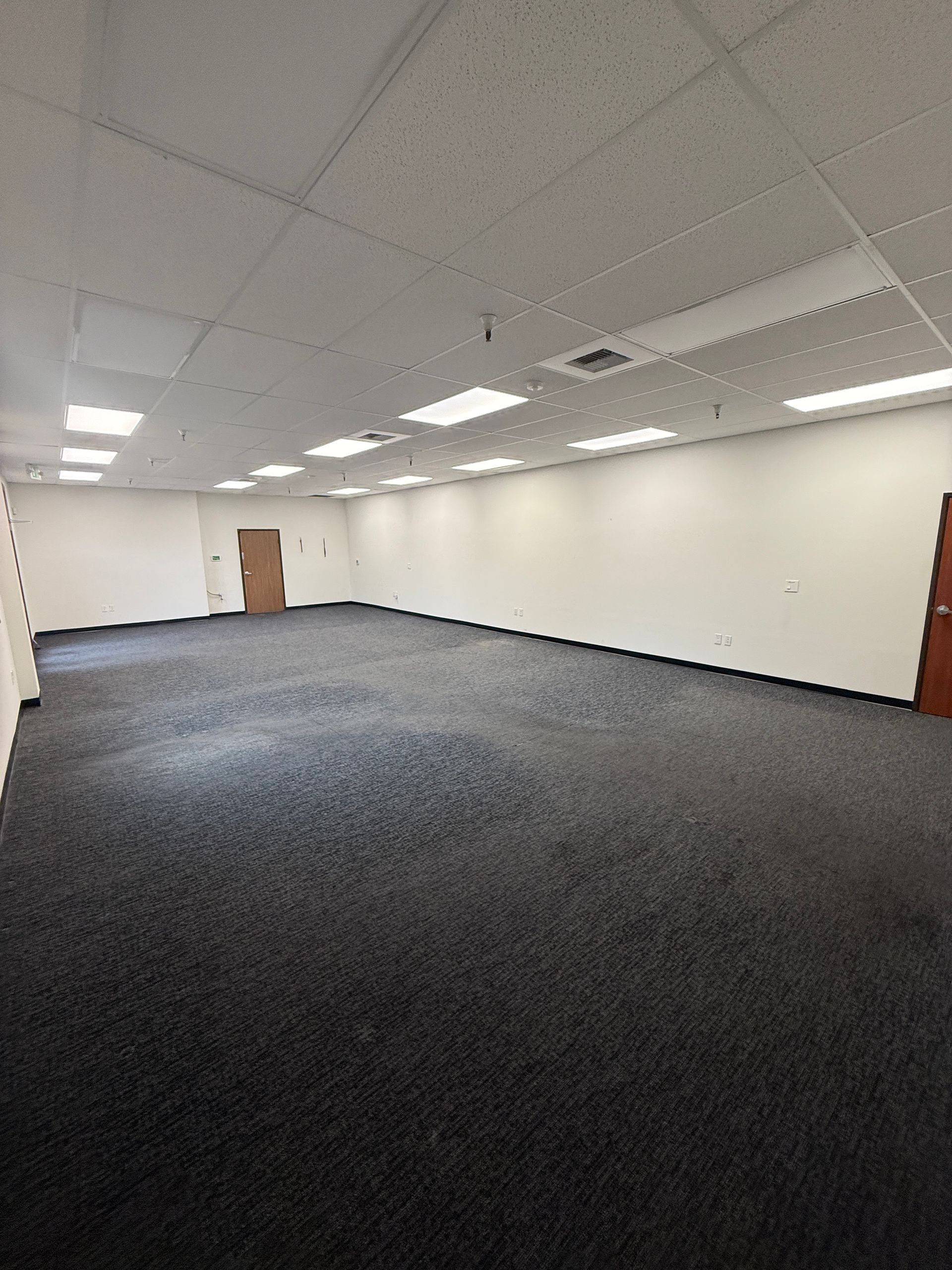 Empty rectangular room with dark carpet, white walls, ceiling lights, and two brown doors.