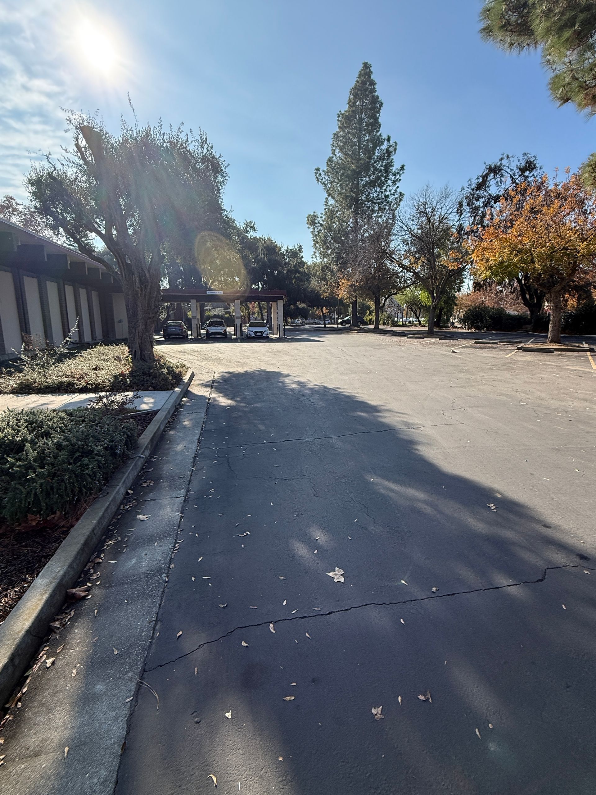Asphalt parking area with cars parked under a shaded structure; trees and sunlight.