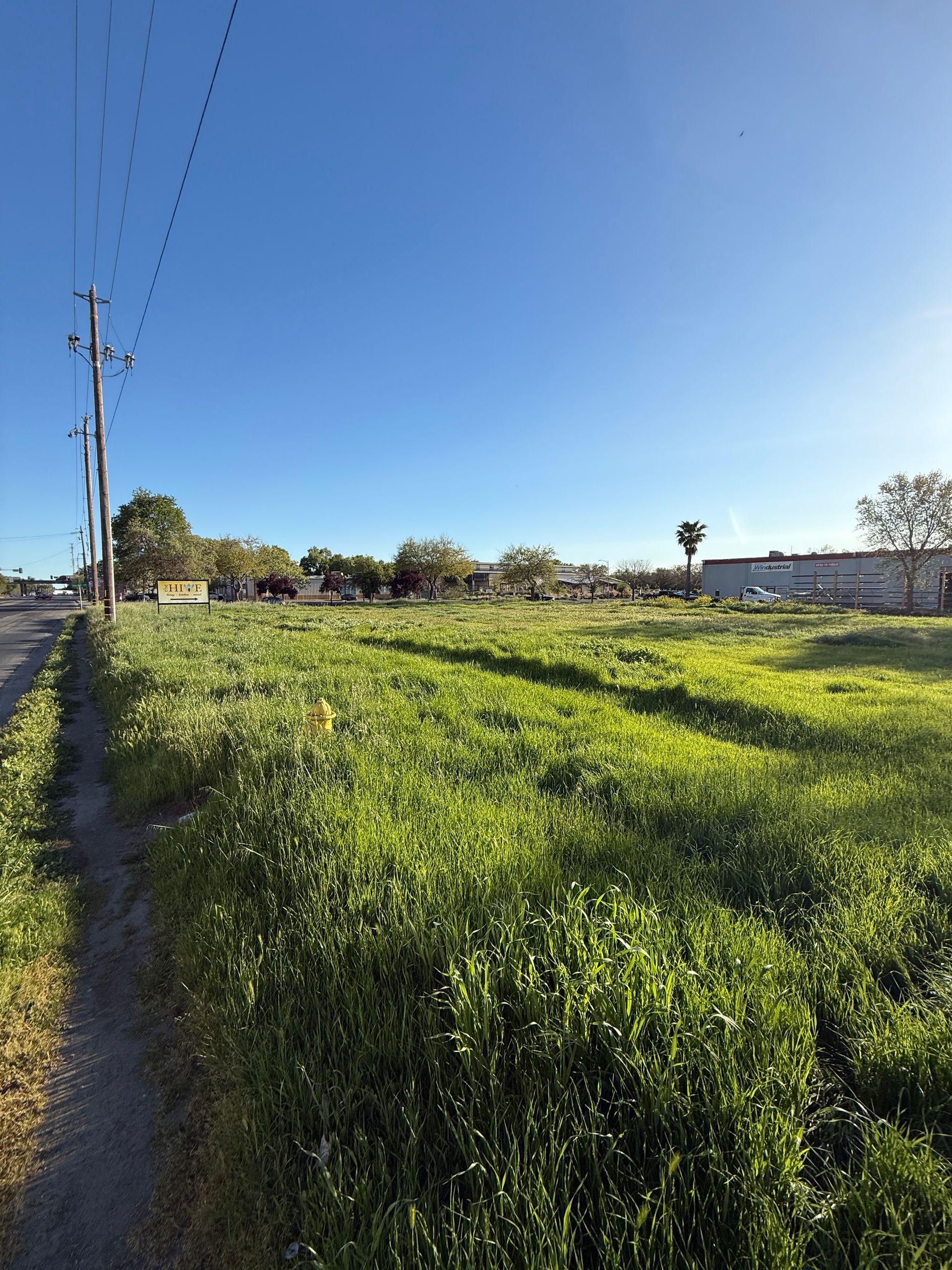 There is a dirt road going through a grassy field.
