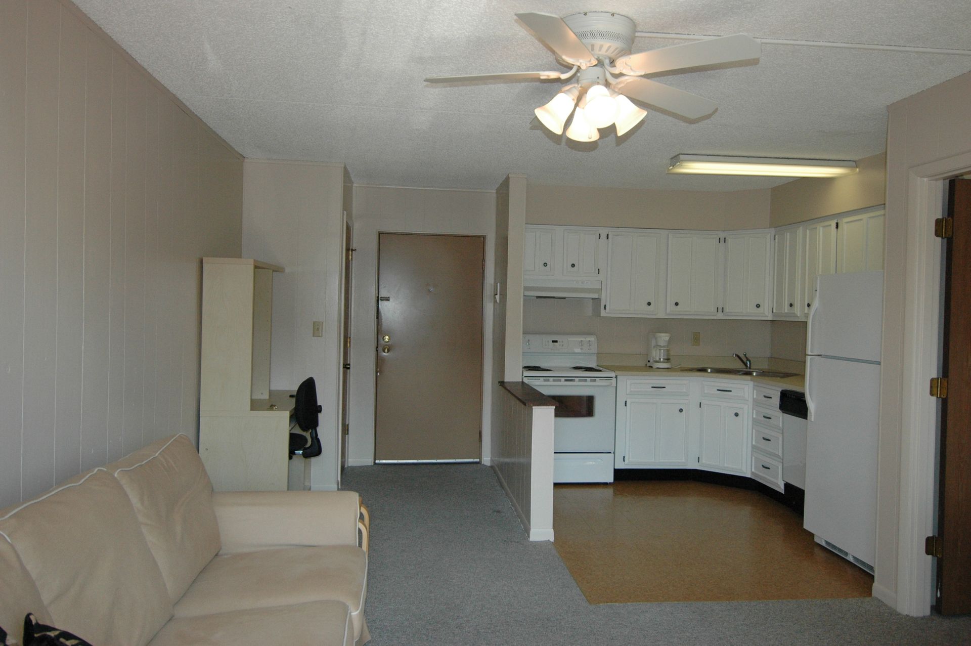 Photo showing a living room area and a kitchen in the background as well as a front door