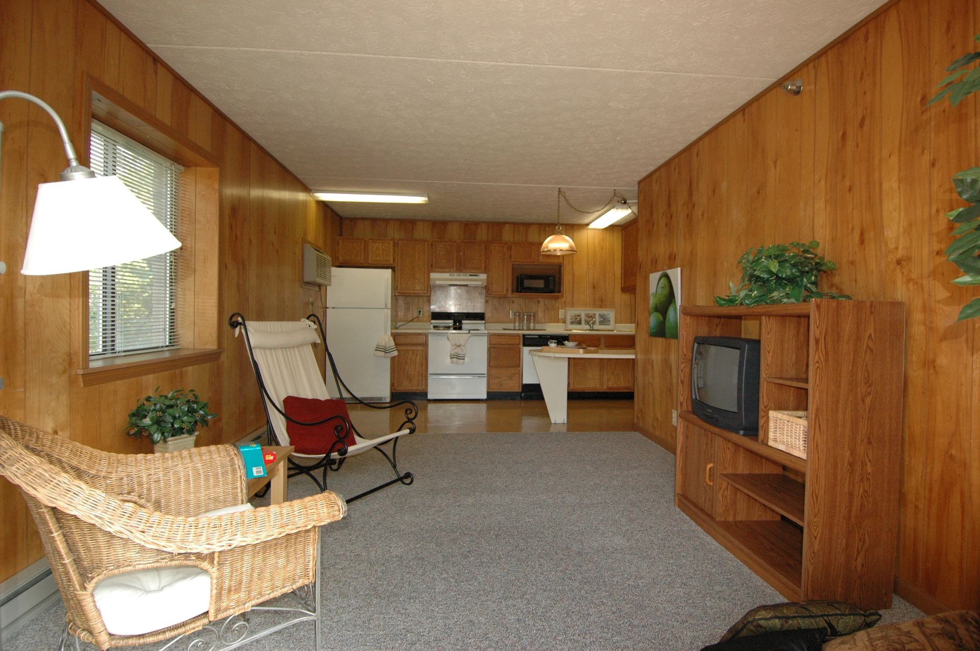 Photo showing a living room in the foreground and a kitchen in the background