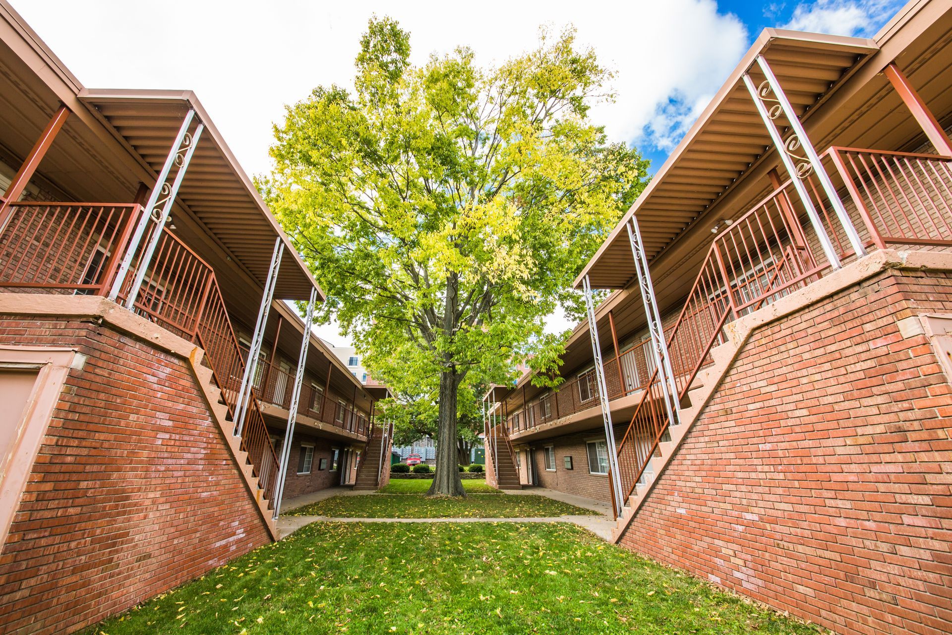 Photo showing a courtyard area with large trees creating plenty of space