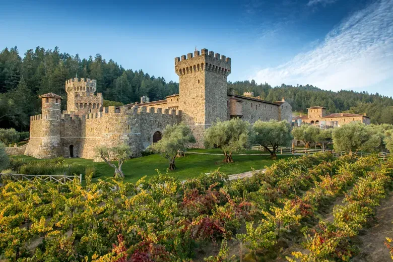 There is a castle in the middle of a vineyard.