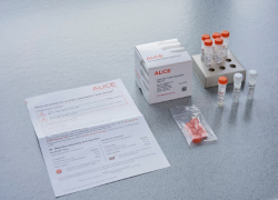 Contents of the ALiCE cell-free protein expression kit