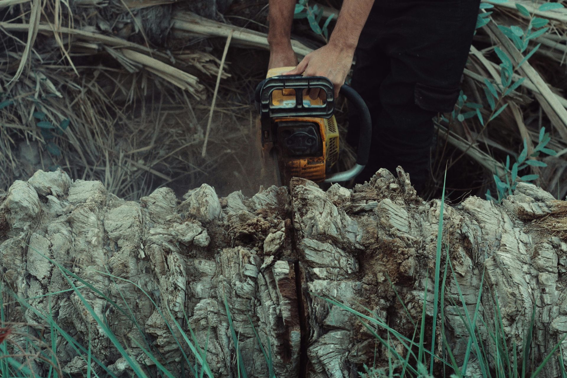 A person uses a yellow chainsaw to cut through a rough, textured tree trunk outdoors.