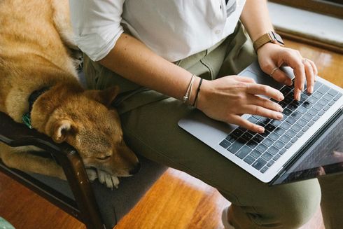 A woman is typing on a laptop with a dog sleeping on her lap.