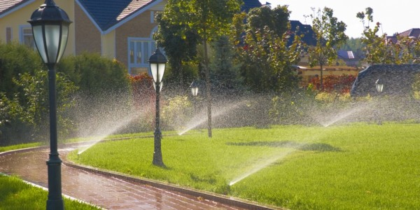 A row of sprinklers spraying water on a lush green lawn.