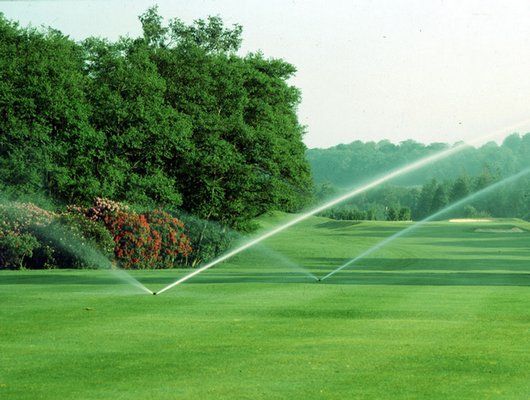 A sprinkler is spraying water on a lush green golf course.