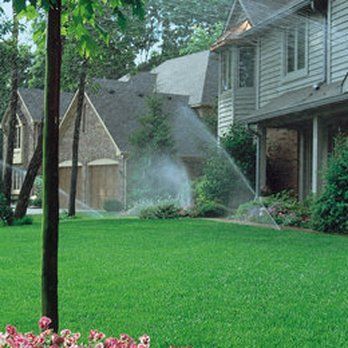 A lawn sprinkler is spraying water on a lush green lawn in front of a house.