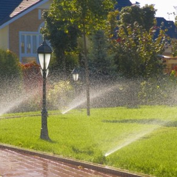 Sprinklers spray water on a lush green lawn