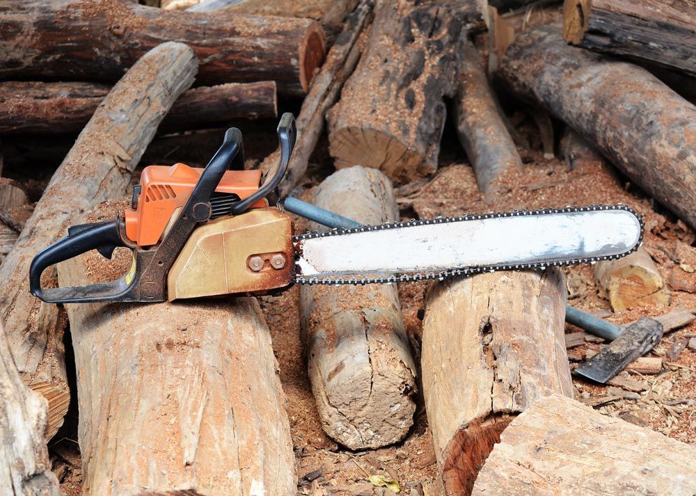 Chain saws cut logs in nature — Mulch in Vincentia, NSW