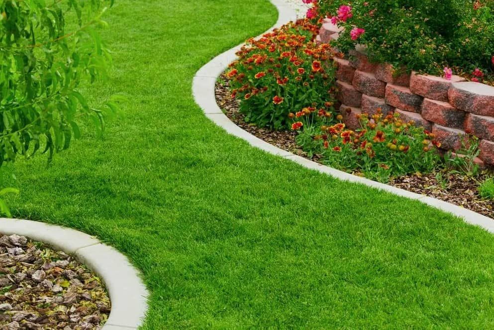 Garden with green grass and flowers — Ryans Turf in  Albion Park, NSW
