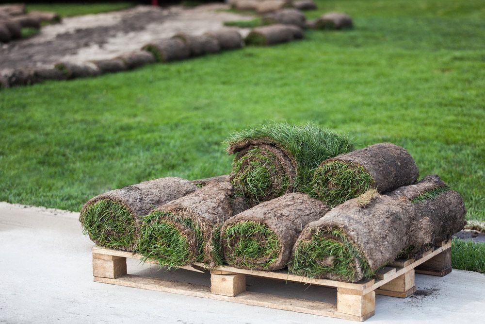 Turf grass rolls in stack — Mulch in Shellharbour, NSW