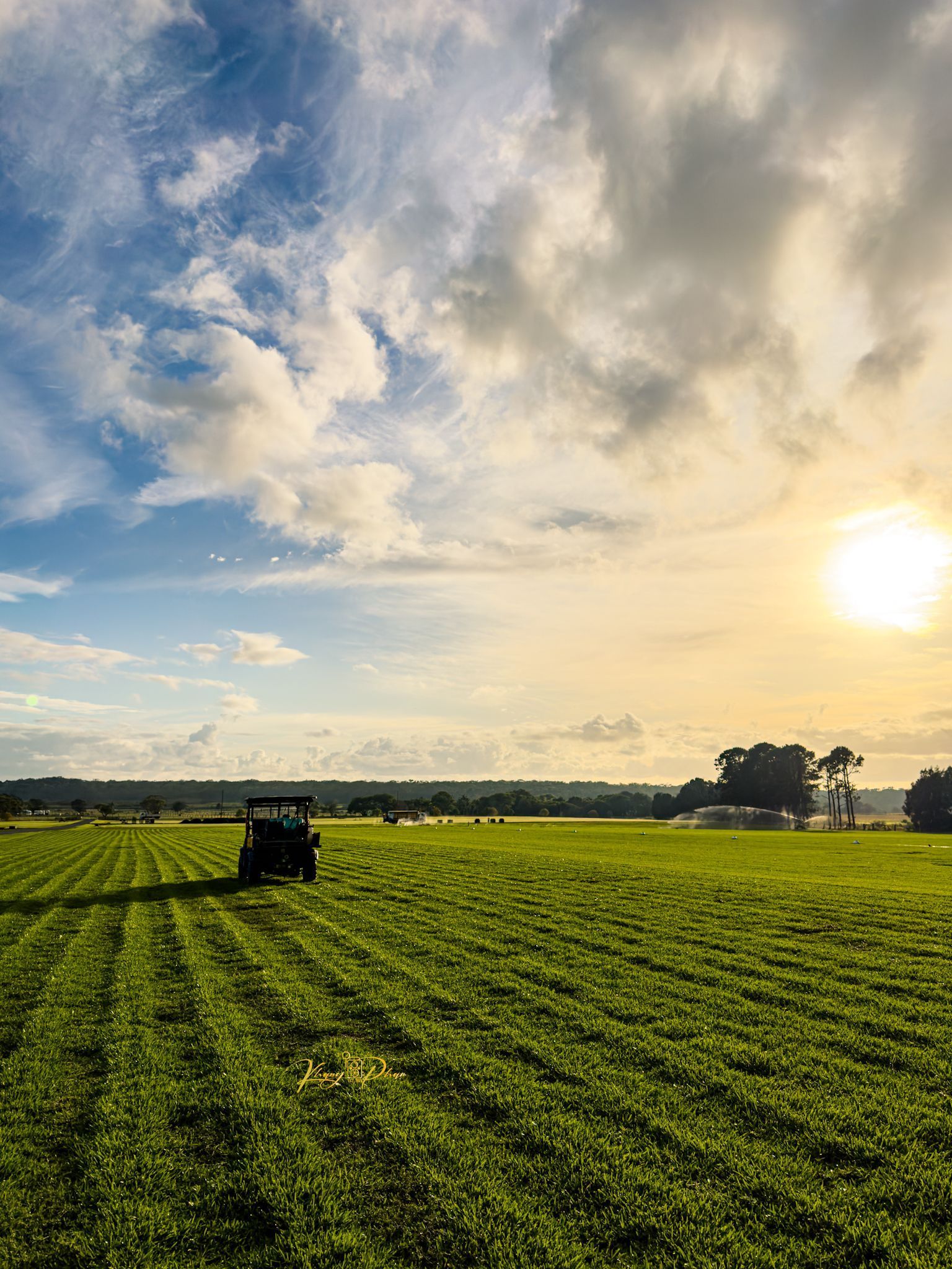 Turf Wollongong Lawn & Turf Supplies Ryans Turf