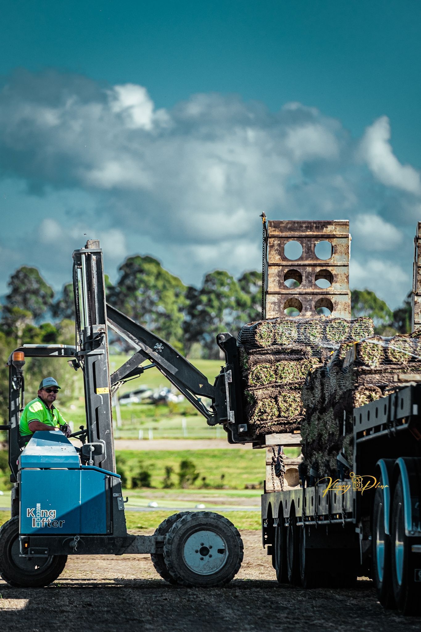Turf Wollongong Lawn & Turf Supplies Ryans Turf