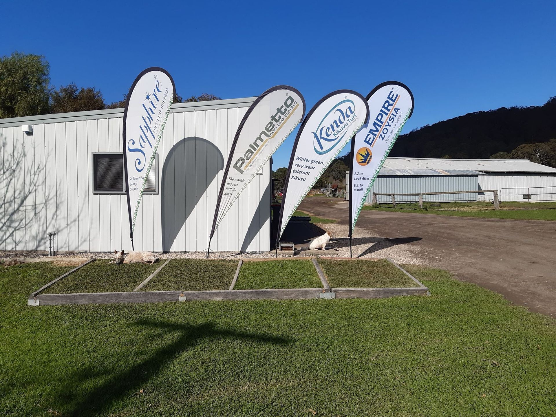 Flags At The Front Of Our Farm Office — Turf & Lawn Supplies in Coolangatta NSW