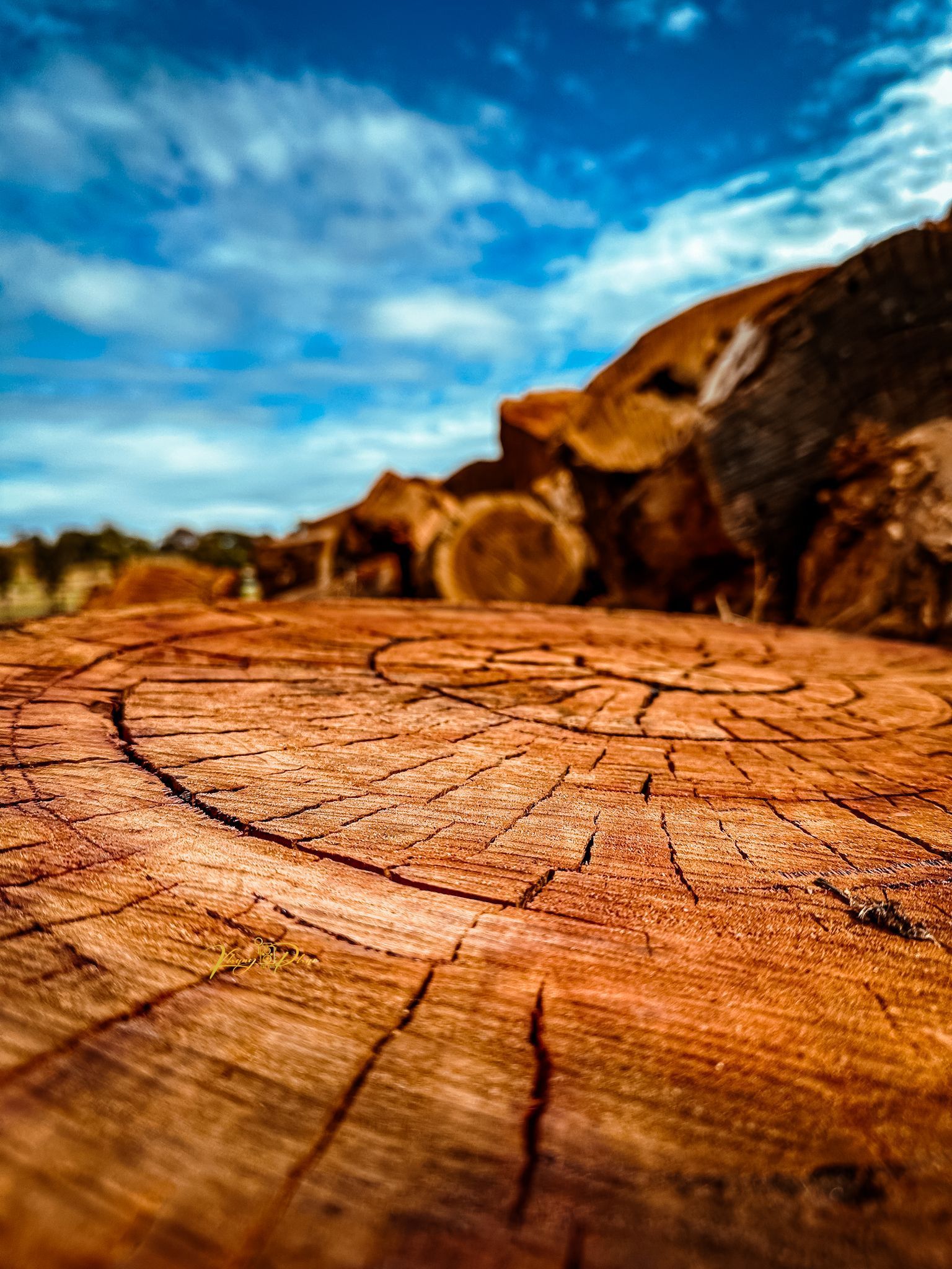 Firewood Nowra & Shoalhaven Firewood Delivery NSW Ryans Turf