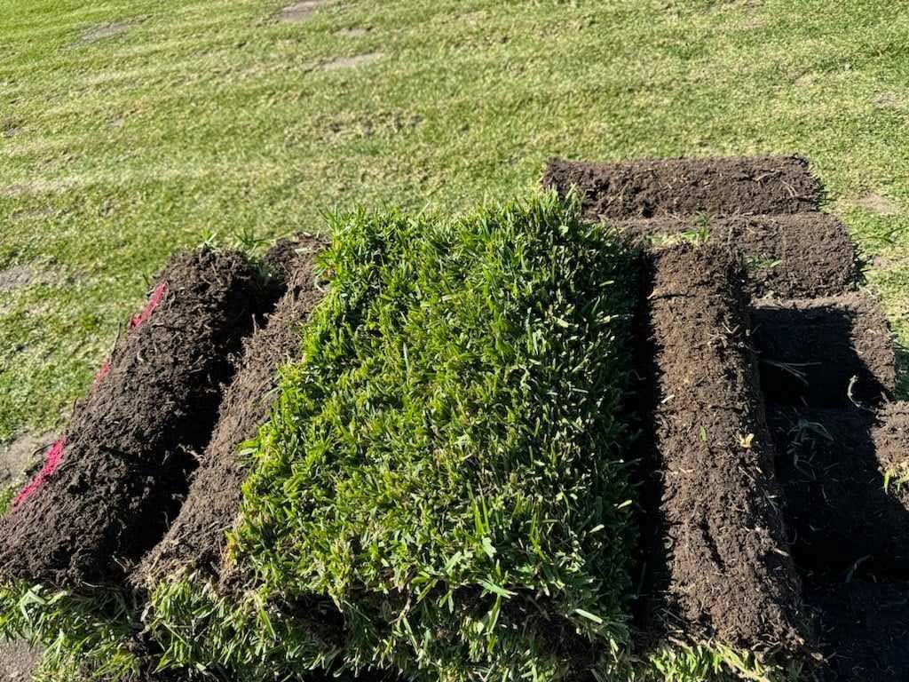 High-Quality Turf