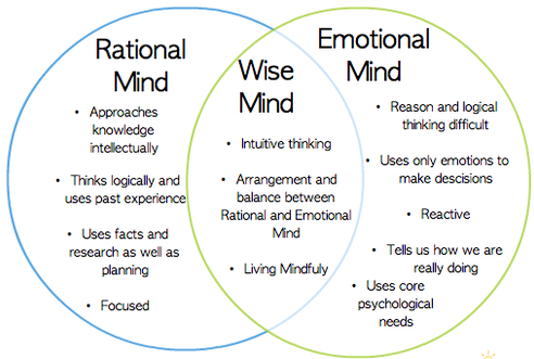 Venn diagram showing Rational, Emotional, and Wise Minds.