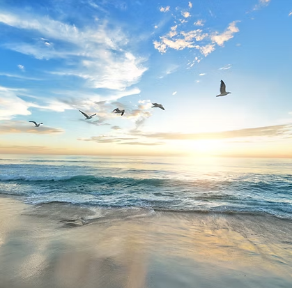 Seagulls flying over ocean waves at sunrise, with a bright yellow sun and blue sky.