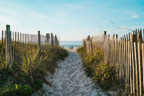 Sandy path through dunes, leading to a beach and ocean under a blue sky.