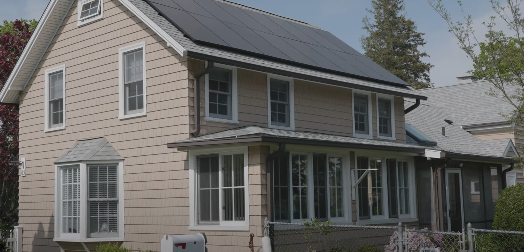 An older man is holding a dog in front of a purple background.