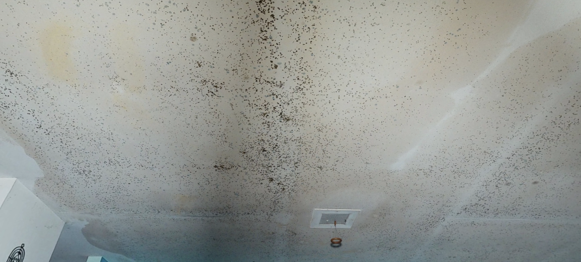 A ceiling with a lot of black spots on it.