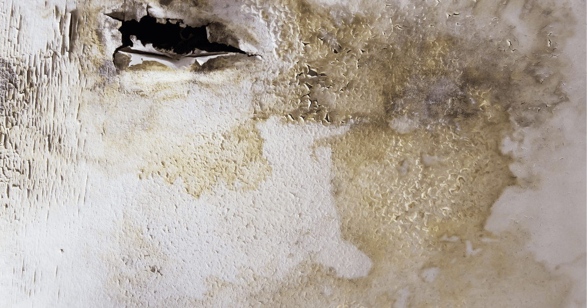 Myths About Water Damage