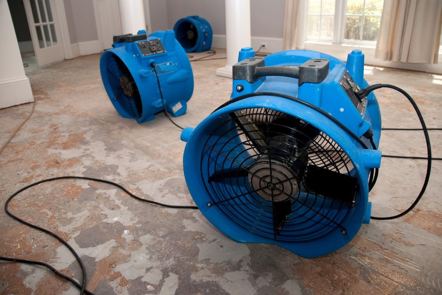 Two blue fans are sitting on the floor of a room.