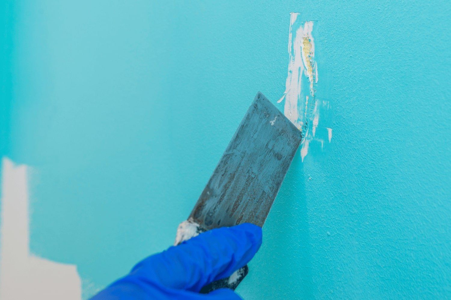 A person is holding a spatula over a blue wall.