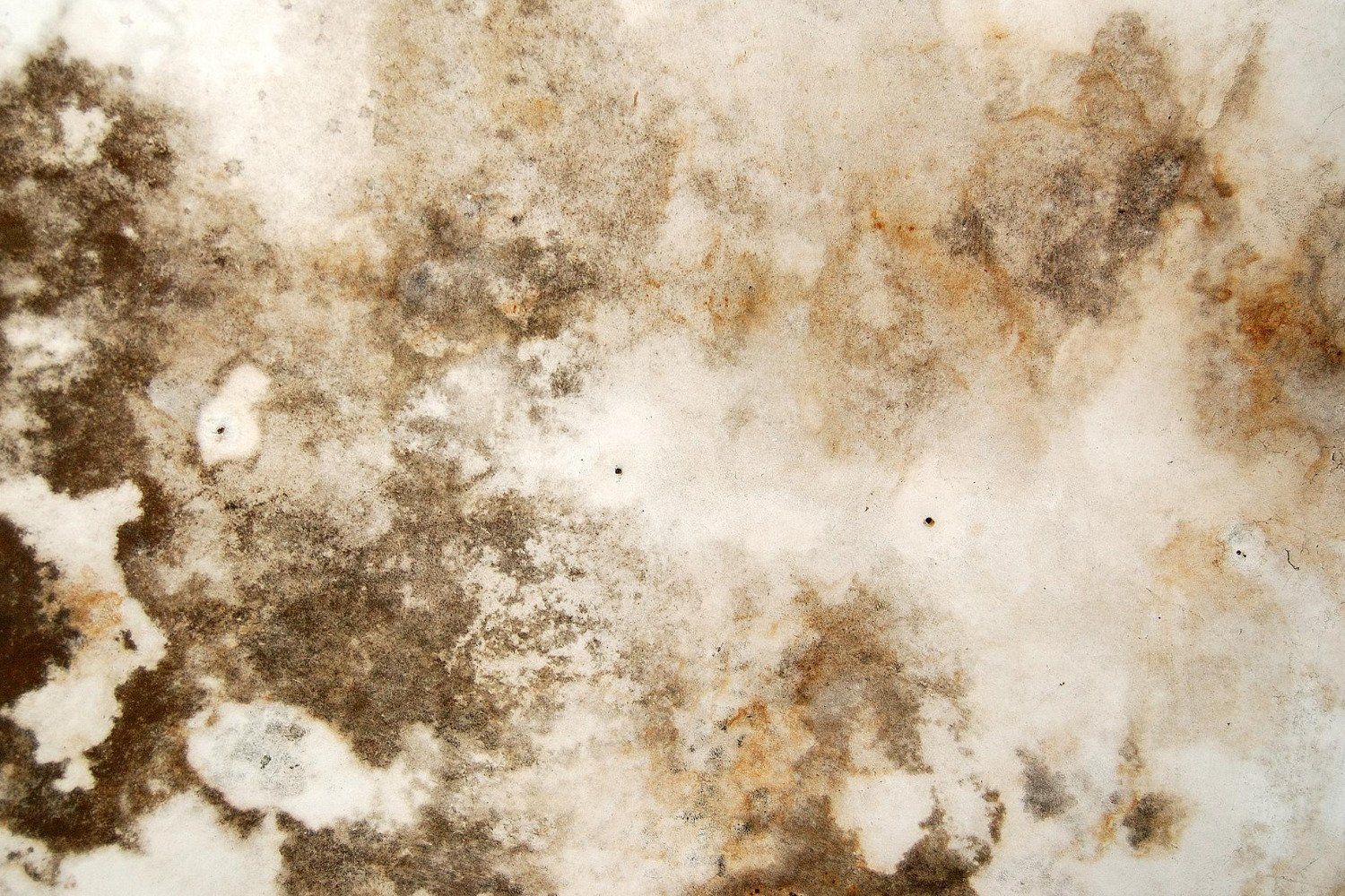 A close up of a white surface with brown spots on it.