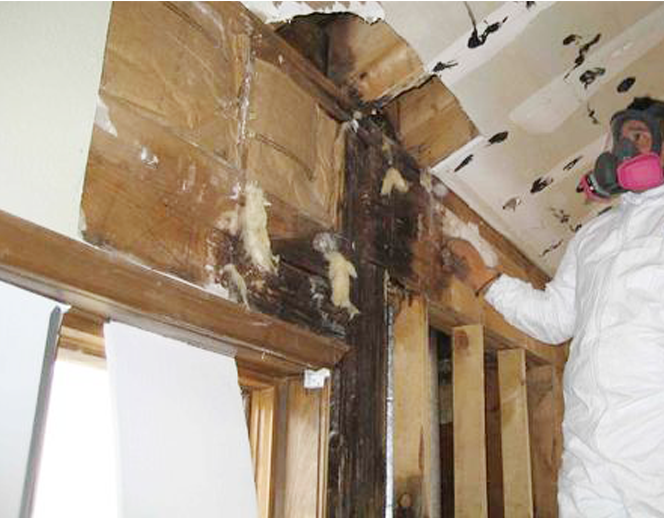A man wearing a gas mask is working on a wooden structure.