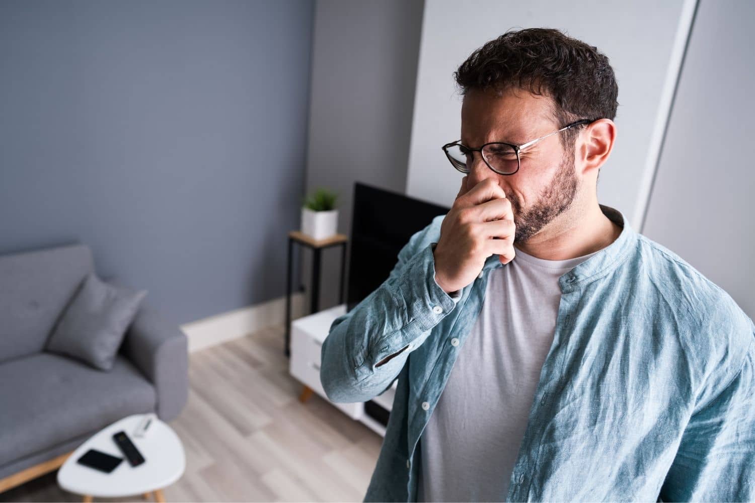 Odor Removal Service Near Me