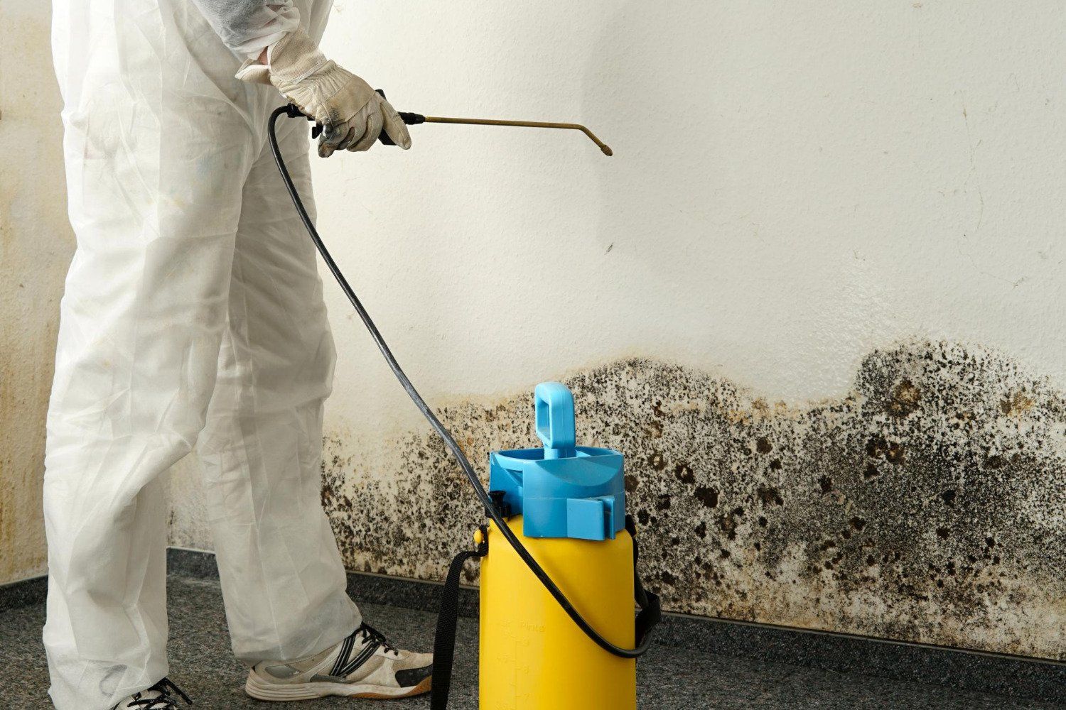 A person is spraying a wall with a spray bottle.
