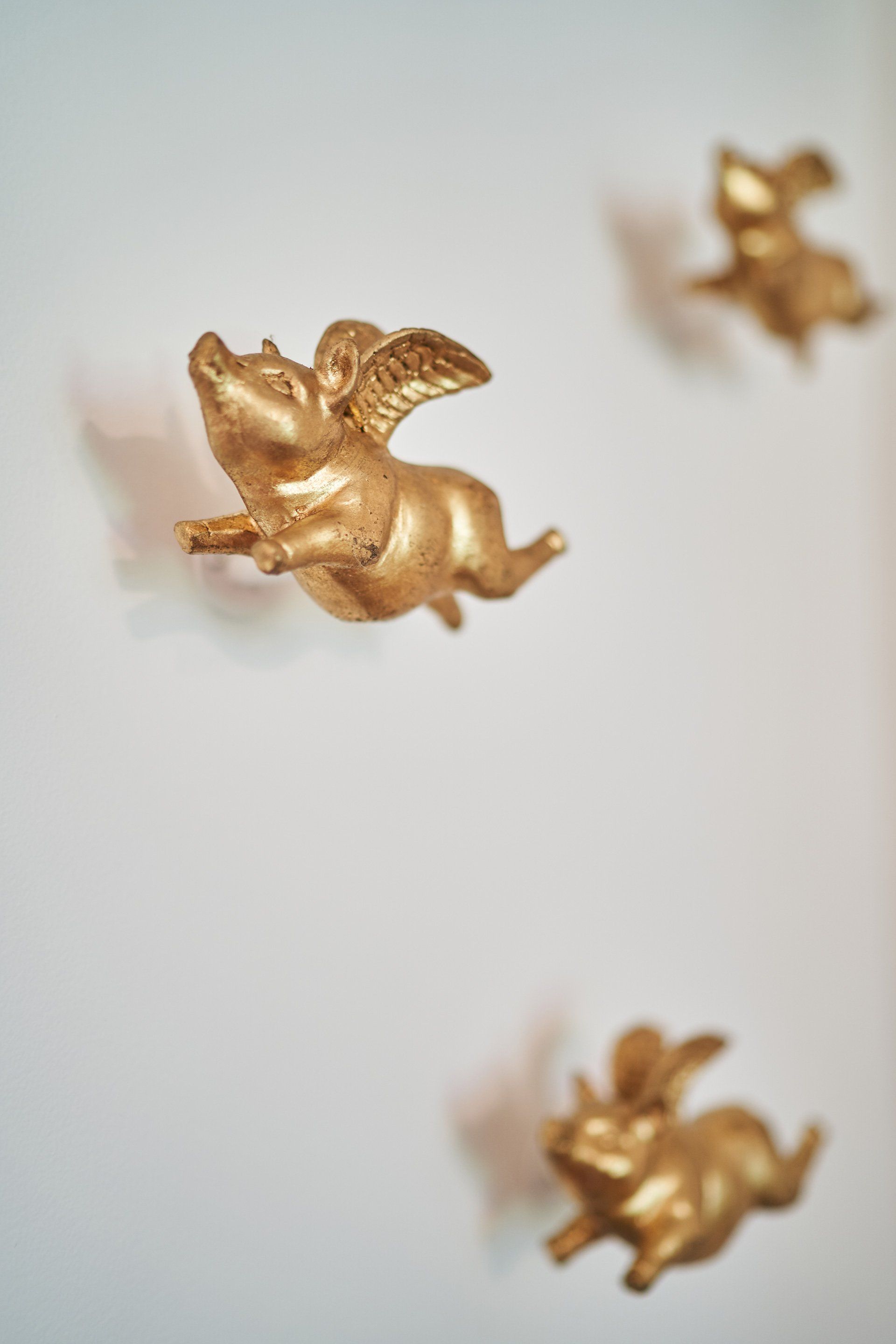 Golden flying pig sculptures on a white wall.