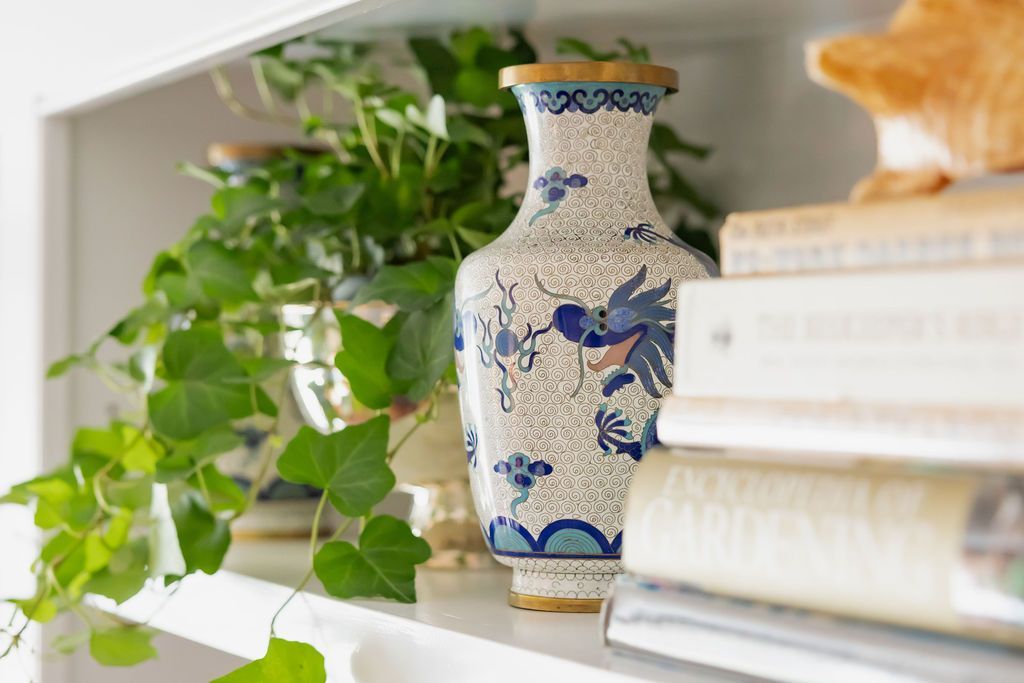 White shelf with vase and plants, books. Blue and white patterned vase; trailing ivy.