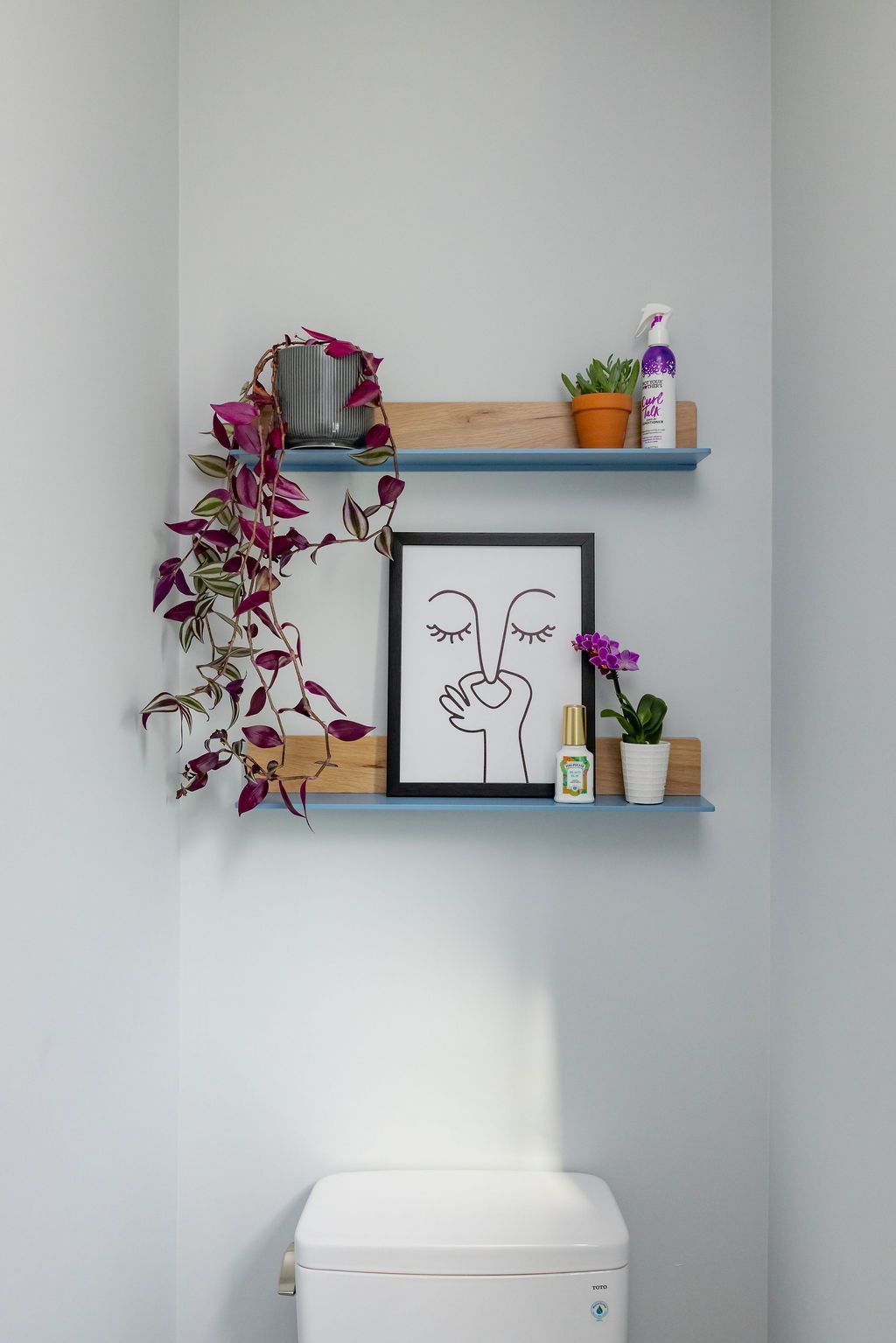 Two floating shelves above a toilet hold a trailing plant, art, and small plants. Blue walls.