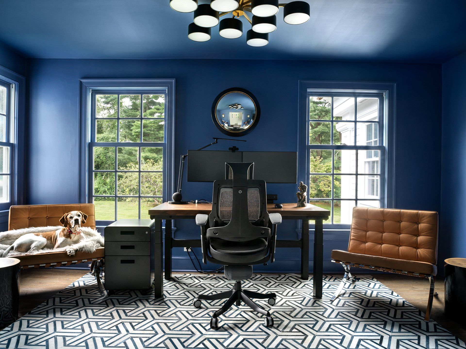 Blue home office with desk, two chairs, rug and a dog lying on a chair.