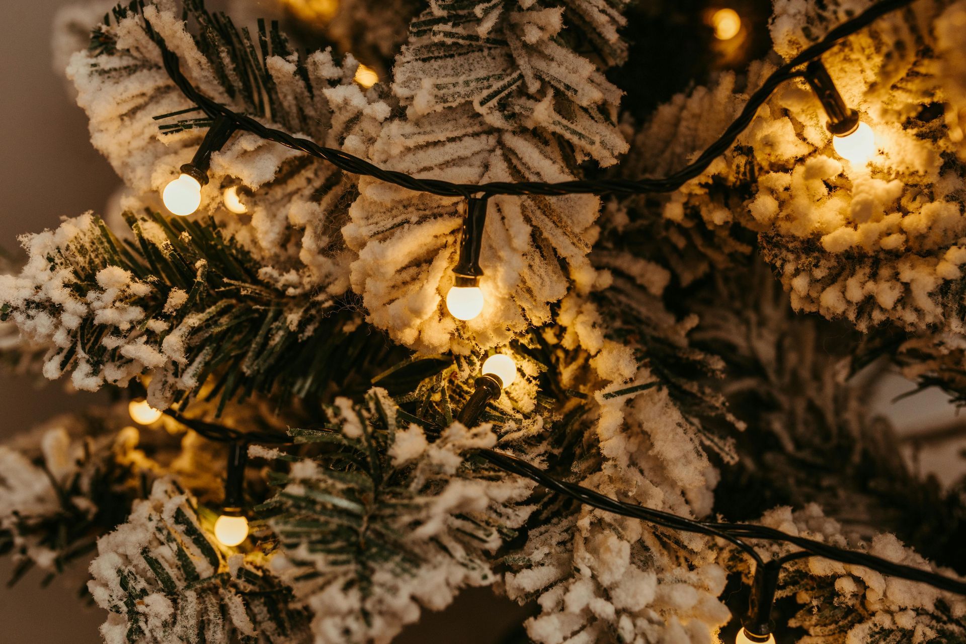 Close-up of a Christmas tree with snowy branches and warm, glowing string lights.