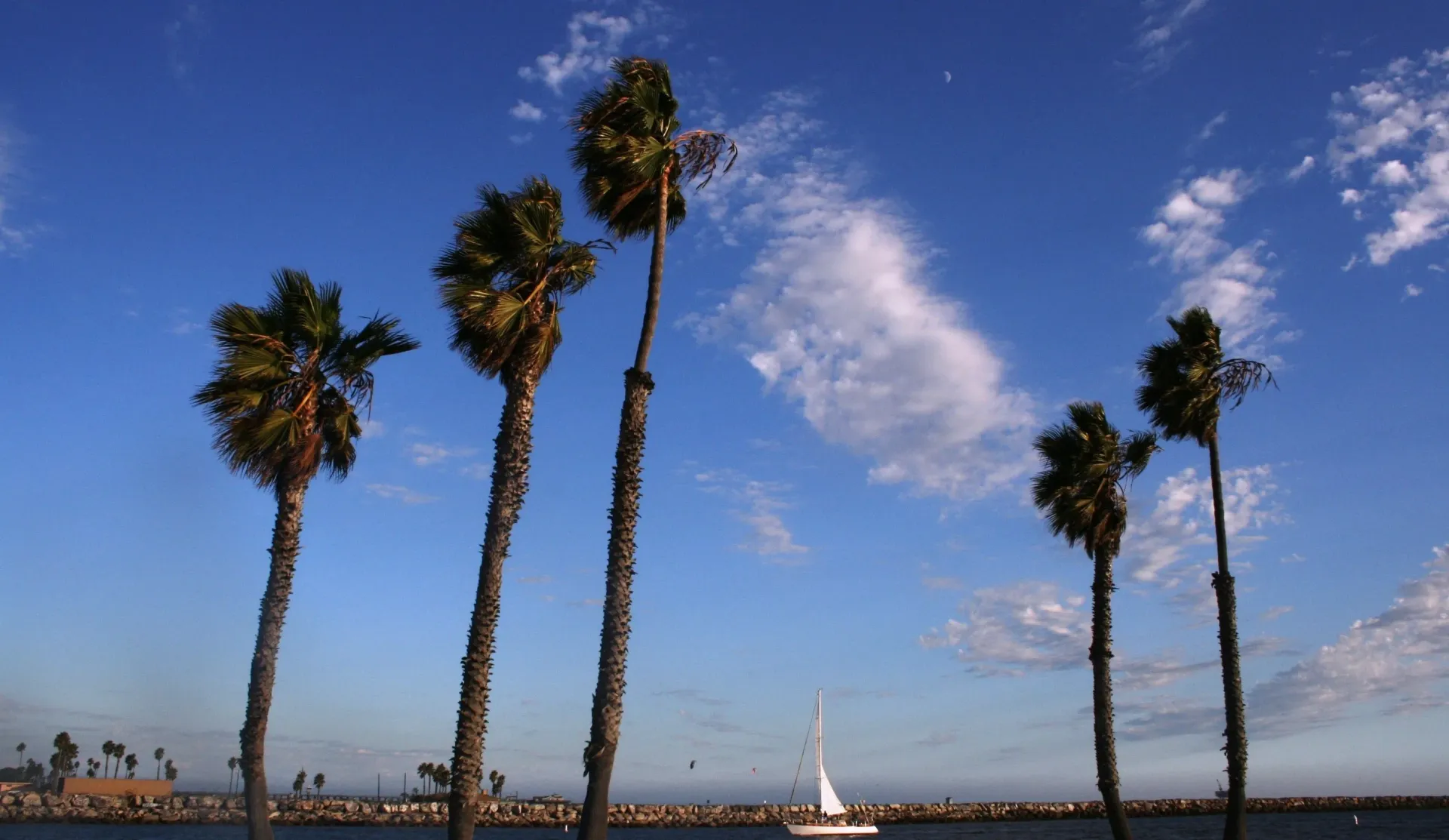 A sailboat is in the distance between two palm trees