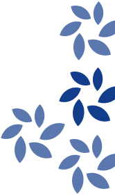 A pattern of blue flowers on a white background