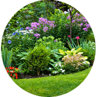 Tree and Shrub Care - Lawn Care service in Gaithersburg, MD