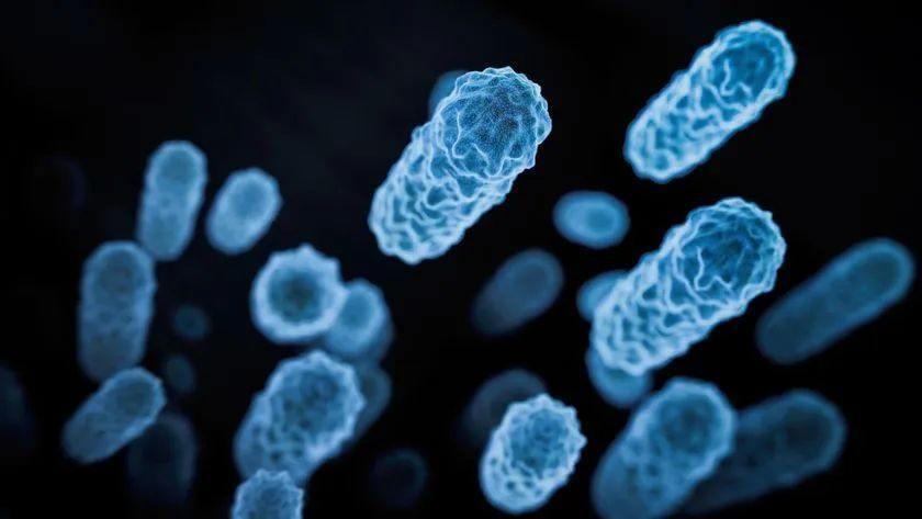 Blue bacteria cells floating in a dark background.