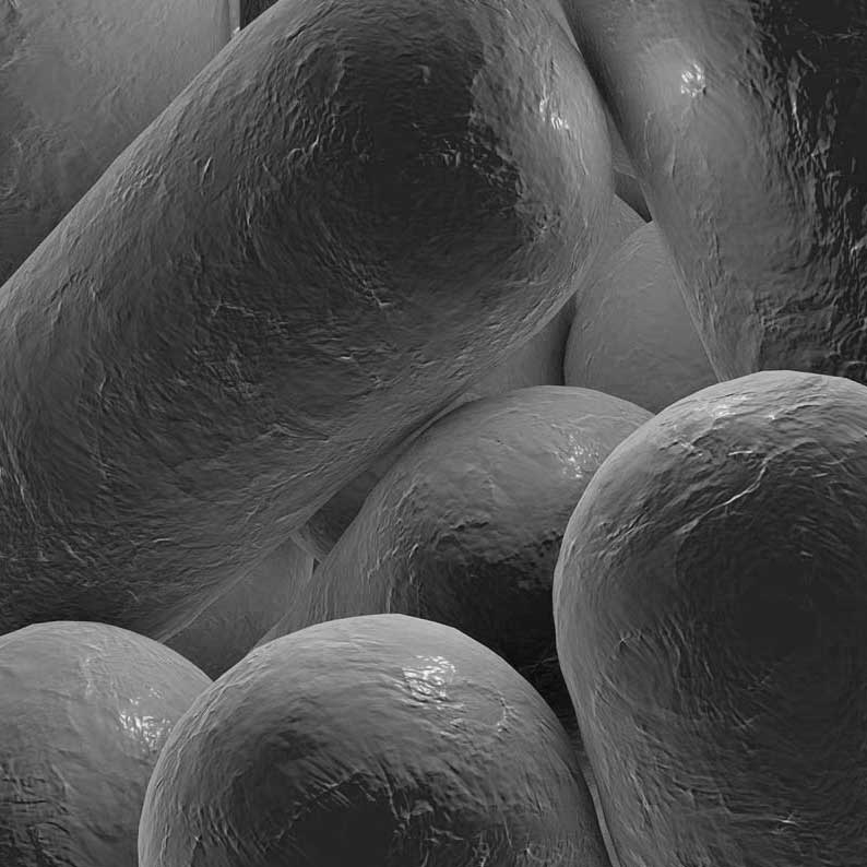 Legionella testing