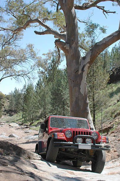 A Red Jeep Is Driving Down A Dirt Road Next To A Tree — Transtate Trailers & 4wd In Belconnen, ACT