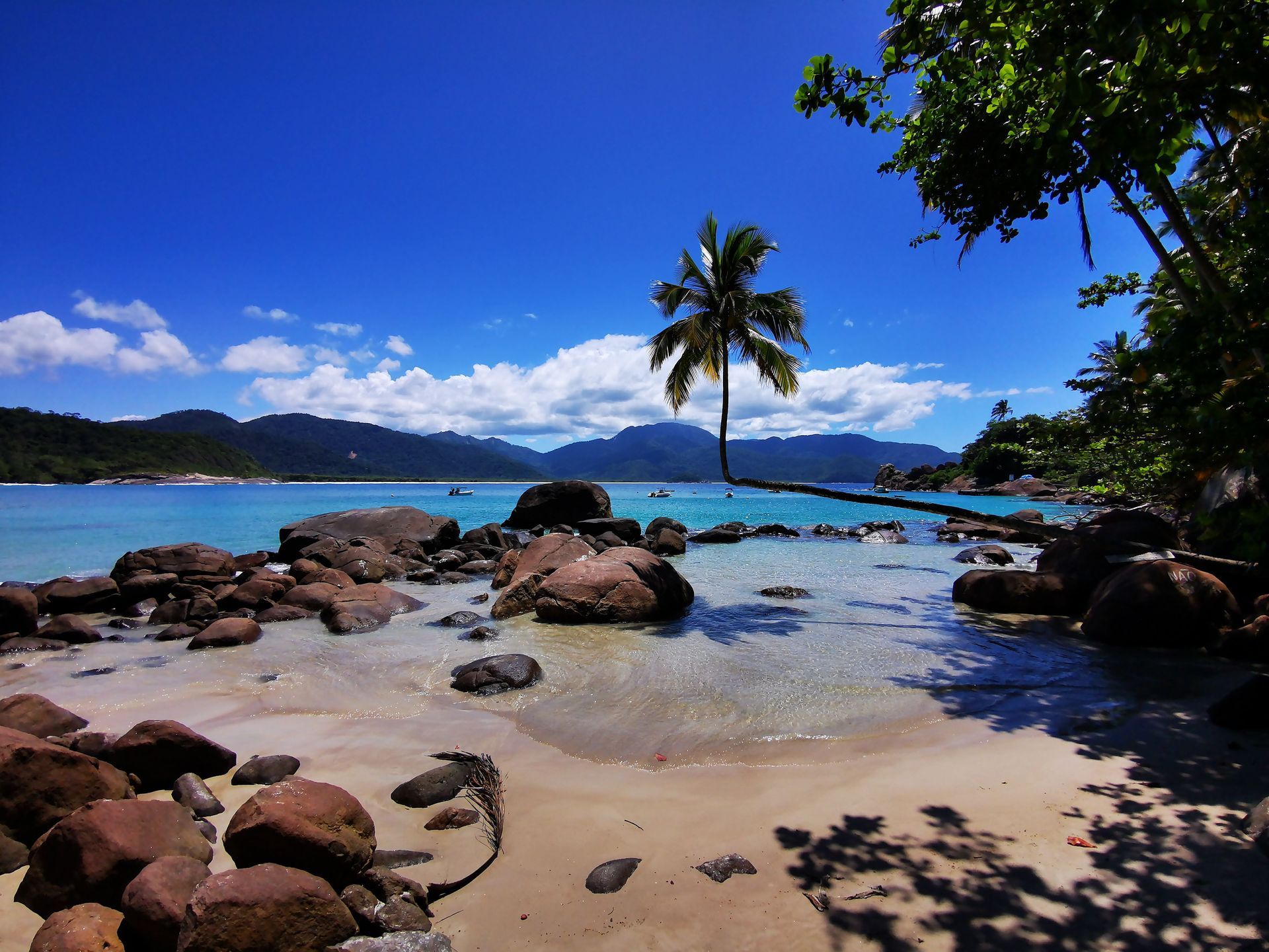 Vista deslumbrante da Praia do Aventureiro, Ilha Grande, com águas turquesa, um coqueiro solitário inclinado sobre o oceano, litoral rochoso e montanhas verdes exuberantes ao fundo, capturando a beleza intocada desse paraíso tropical