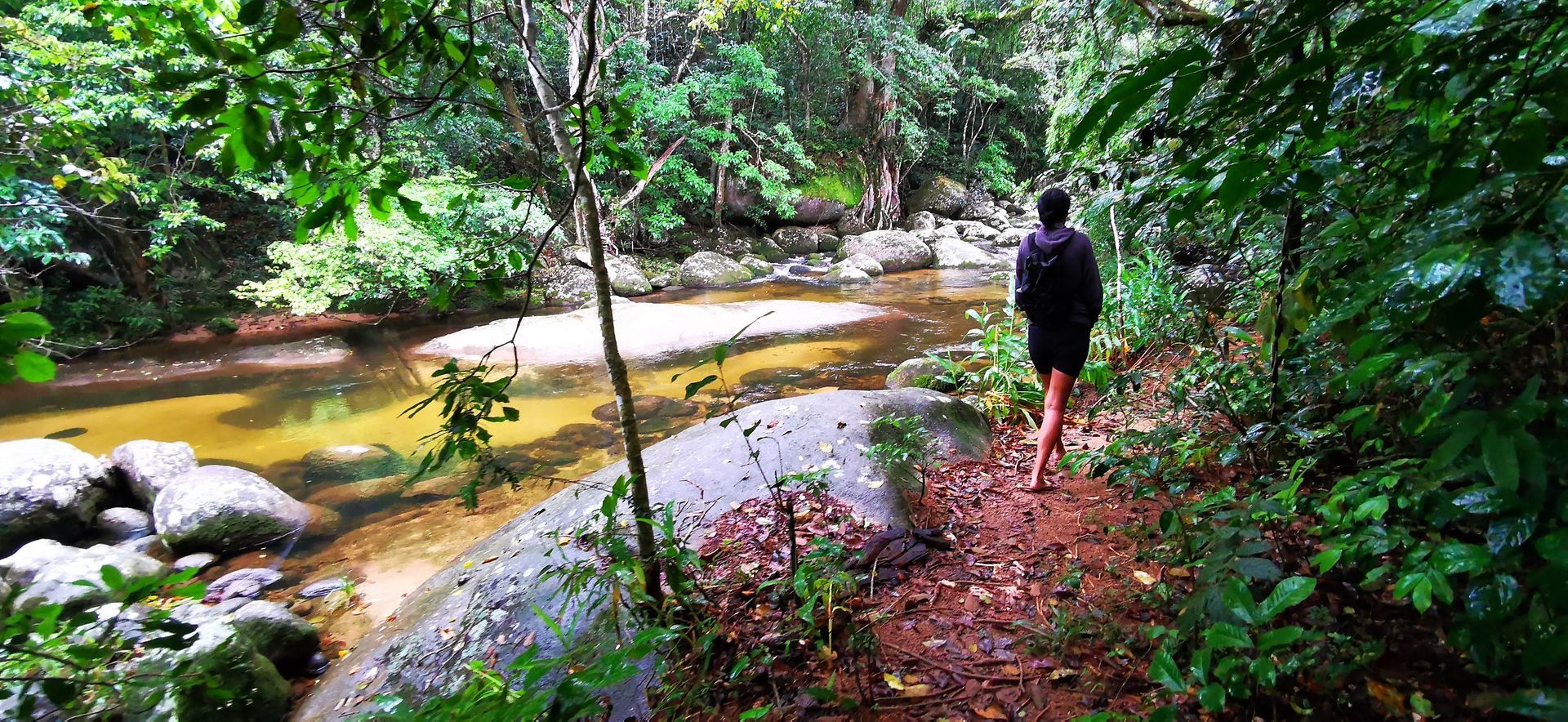 Hiking trail leading to the waterfall in Parnaioca, Ilha Grande