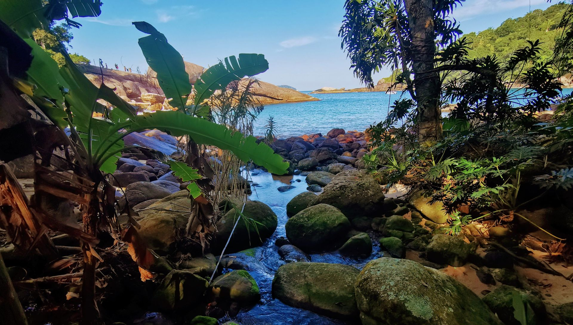 Freshwater stream flowing into the sea at Praia do Caxadaço, Ilha Grande