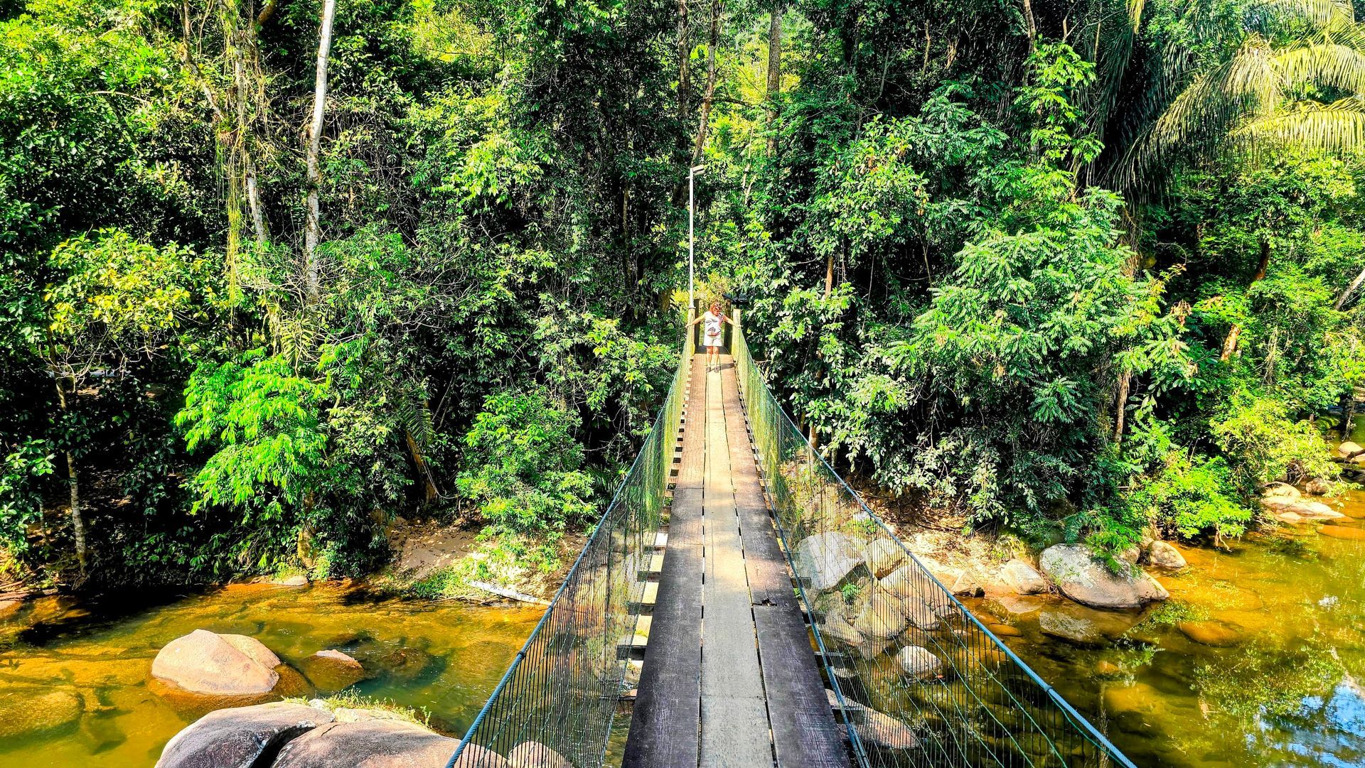 Person crossing a wooden suspension bridge over a clear stream surrounded by lush Atlantic Forest in Paraty, Brazil.